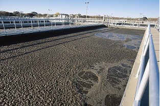 【干貨】泥齡導致的氨氮超標？那這種情況該如何處理呢？